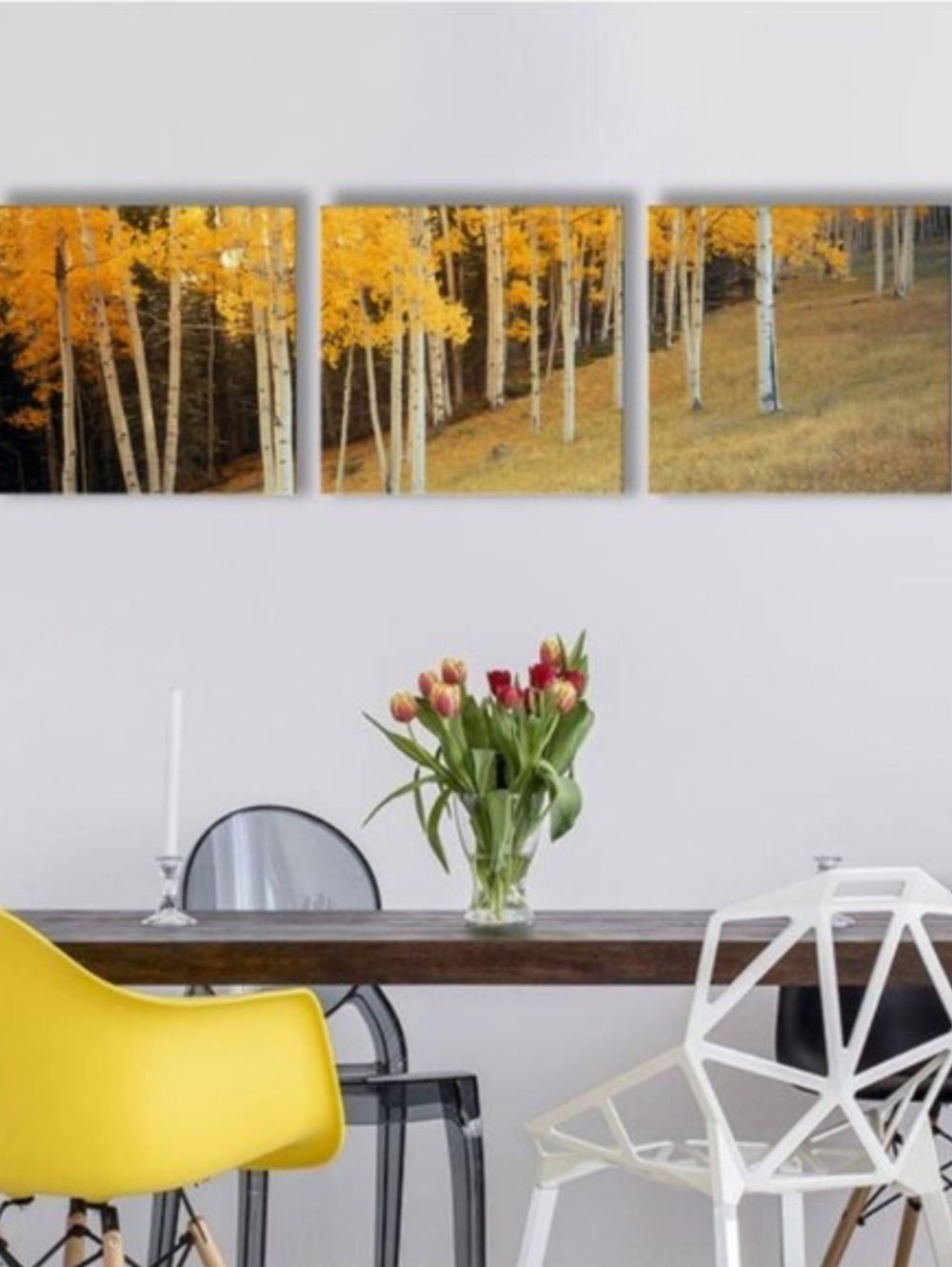 3 Pc Set Giclee Orange Black Forest Trees Scenery Gallery Wrapped Wall Art Print
